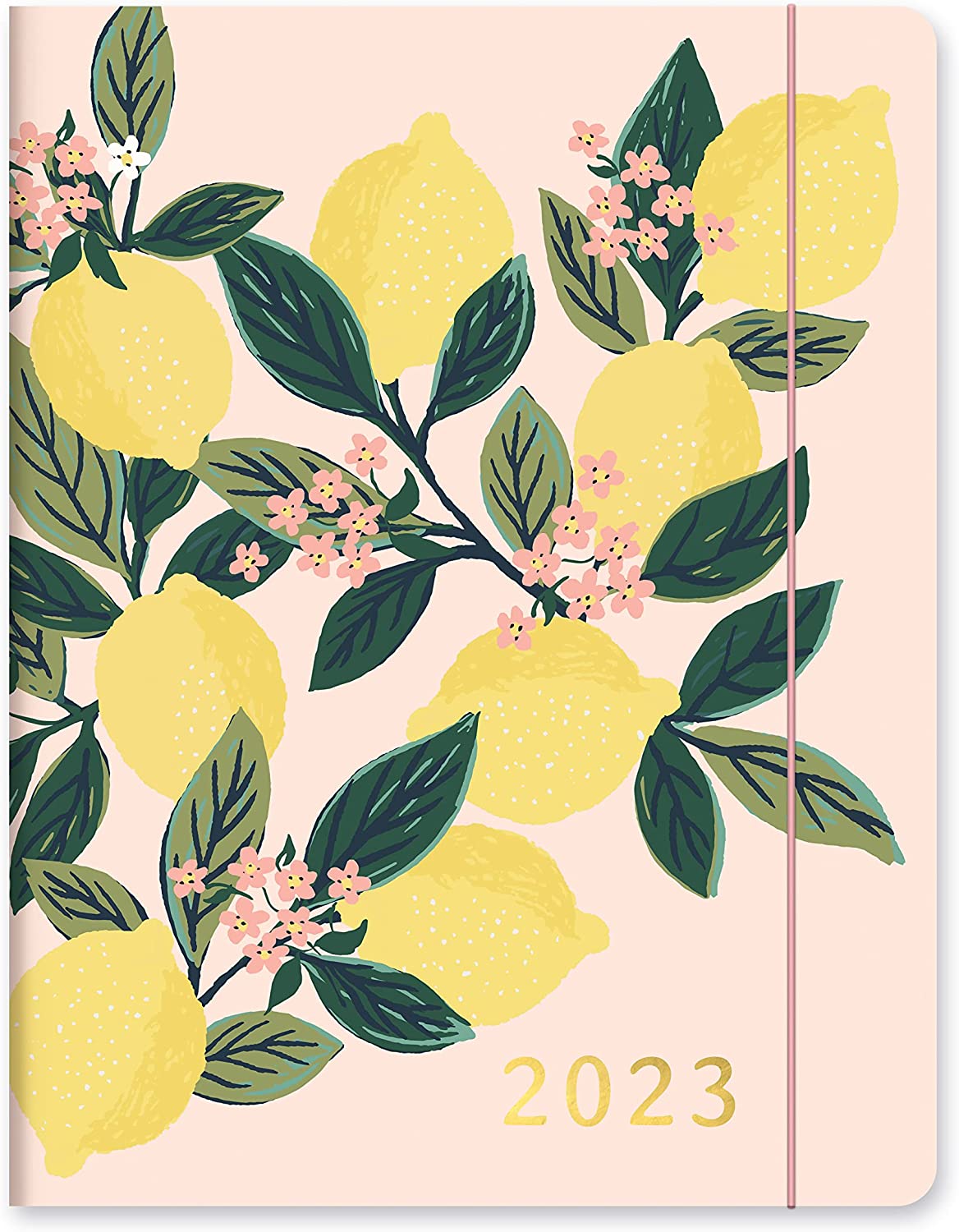 Orange Circle Studio Just Right 2022-2023 Monthly Planner - 17-Month Organizer with Full-Color Monthly Views, Storage Pocket & Elastic Closure - Lemon Tree