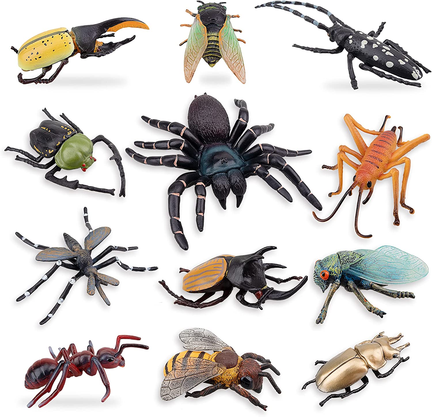 Toymany 12PCS Realistic Insects Figures Toys - Plastic Bugs Figurines Set with Cicada Cricket Scarab Bee Ant Spider - Halloween Party Favor School Project Christmas Birthday Gift for Kids Toddlers