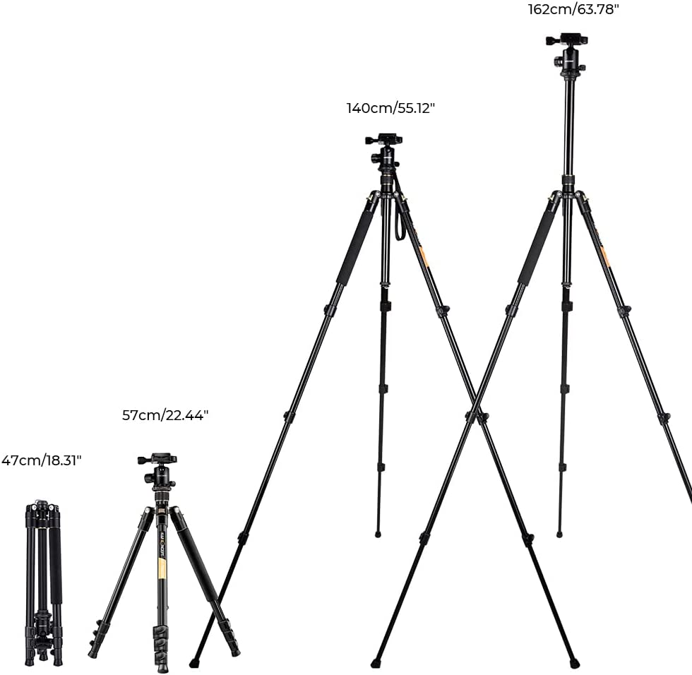 K&amp;F Concept 64''/162cm DSLR Tripod，Lightweight and Compact Aluminum Camera Tripod with 360 Panorama Ball Head Quick Release Plate for Travel and Work B234A1+BH-28 (TM2324)