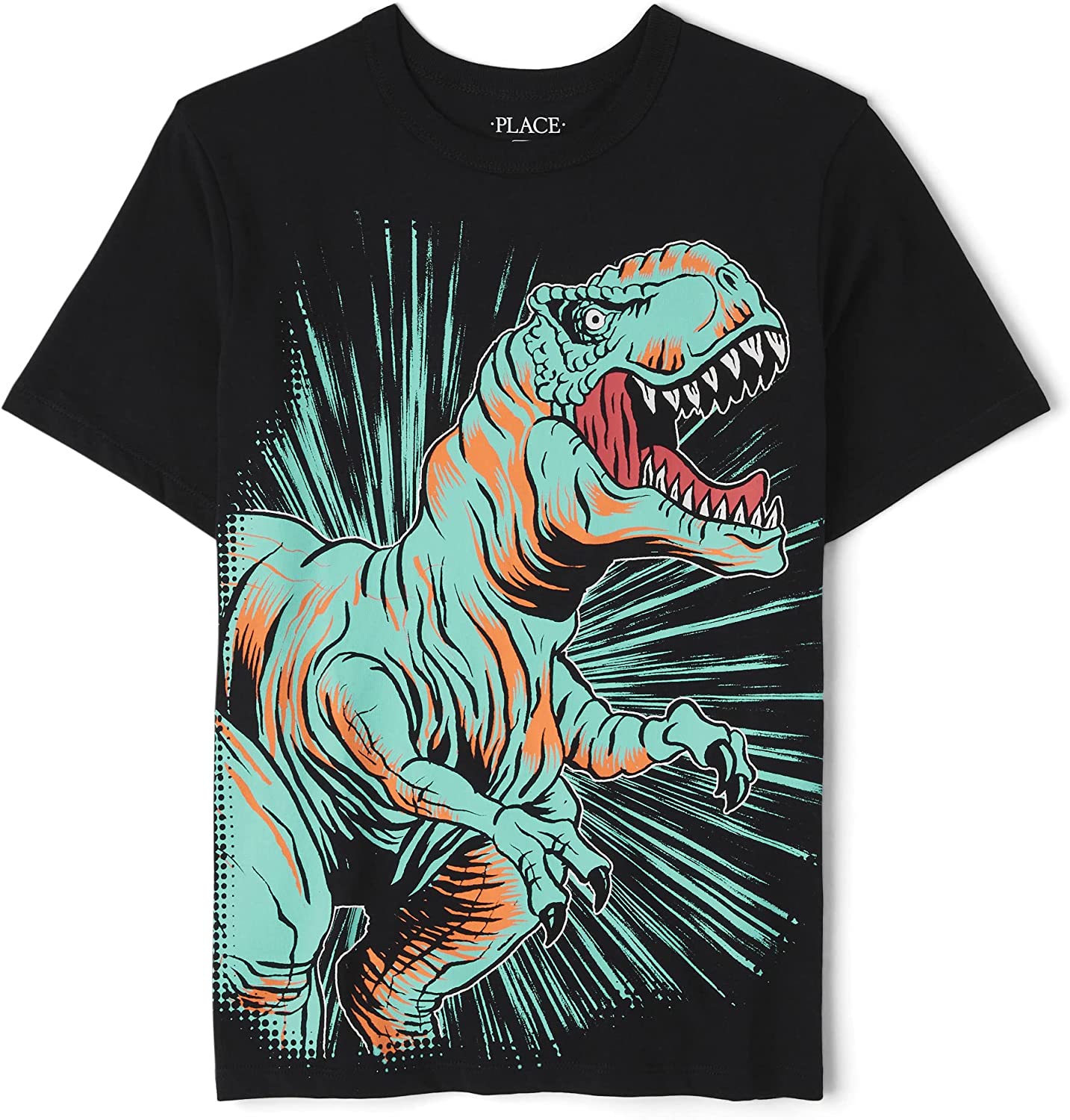 The Children's Place Boys' Short Sleeve Graphic T-Shirt